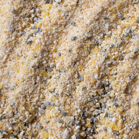 Close-up of a textured surface with small black specks